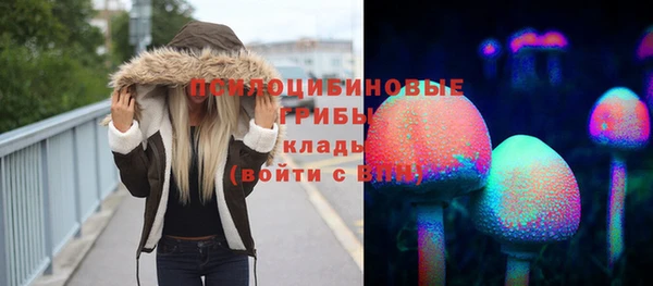 хмурый Михайлов