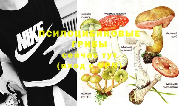 кокс Михайловка
