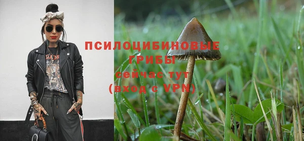хмурый Михайлов