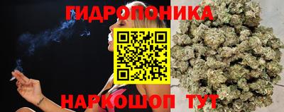 амф Кулебаки