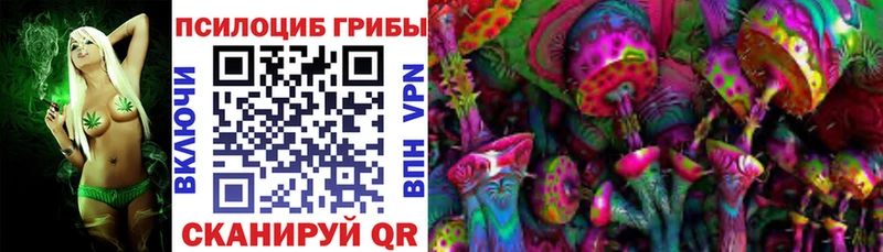 цена   Феодосия  Псилоцибиновые грибы Magic Shrooms 